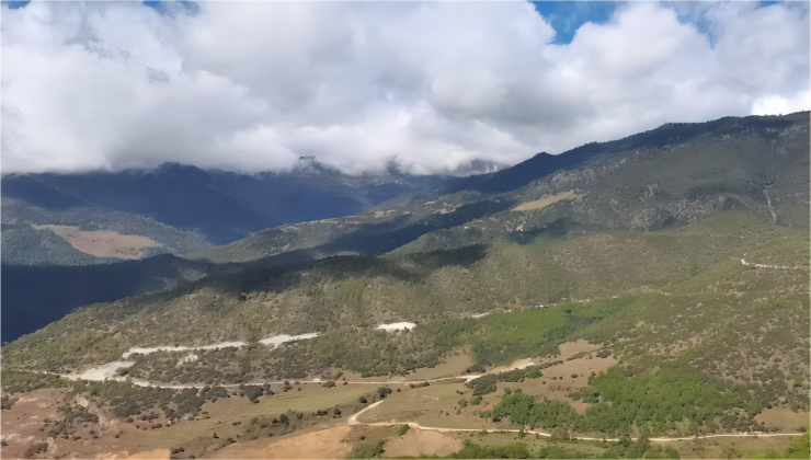 云南漾濞華君林權(quán)